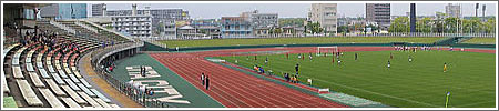 啪2006